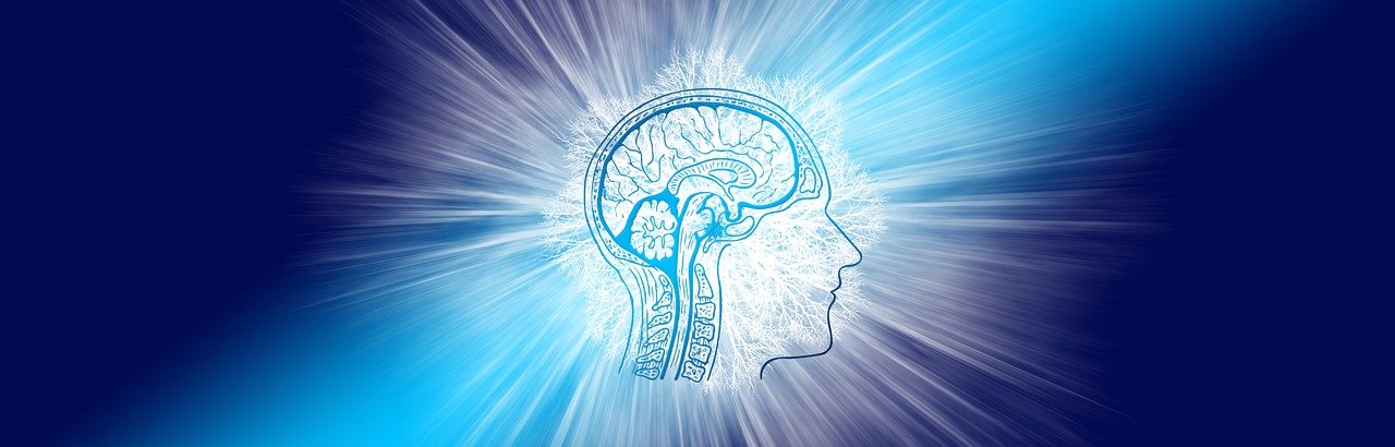 intelligence, brain, think-4234824.jpg